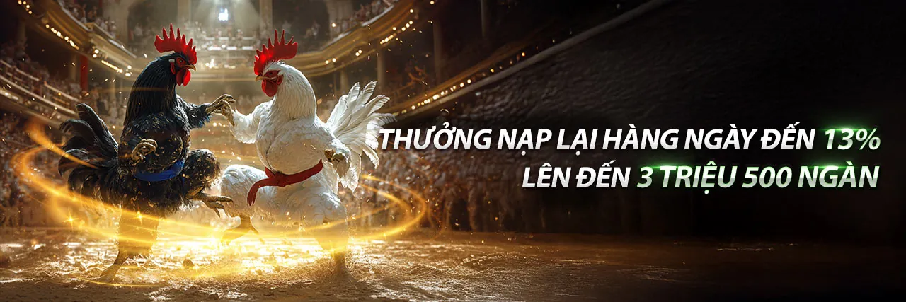 Phương Thức Thanh Toán K9CC Thể Thao An Toàn